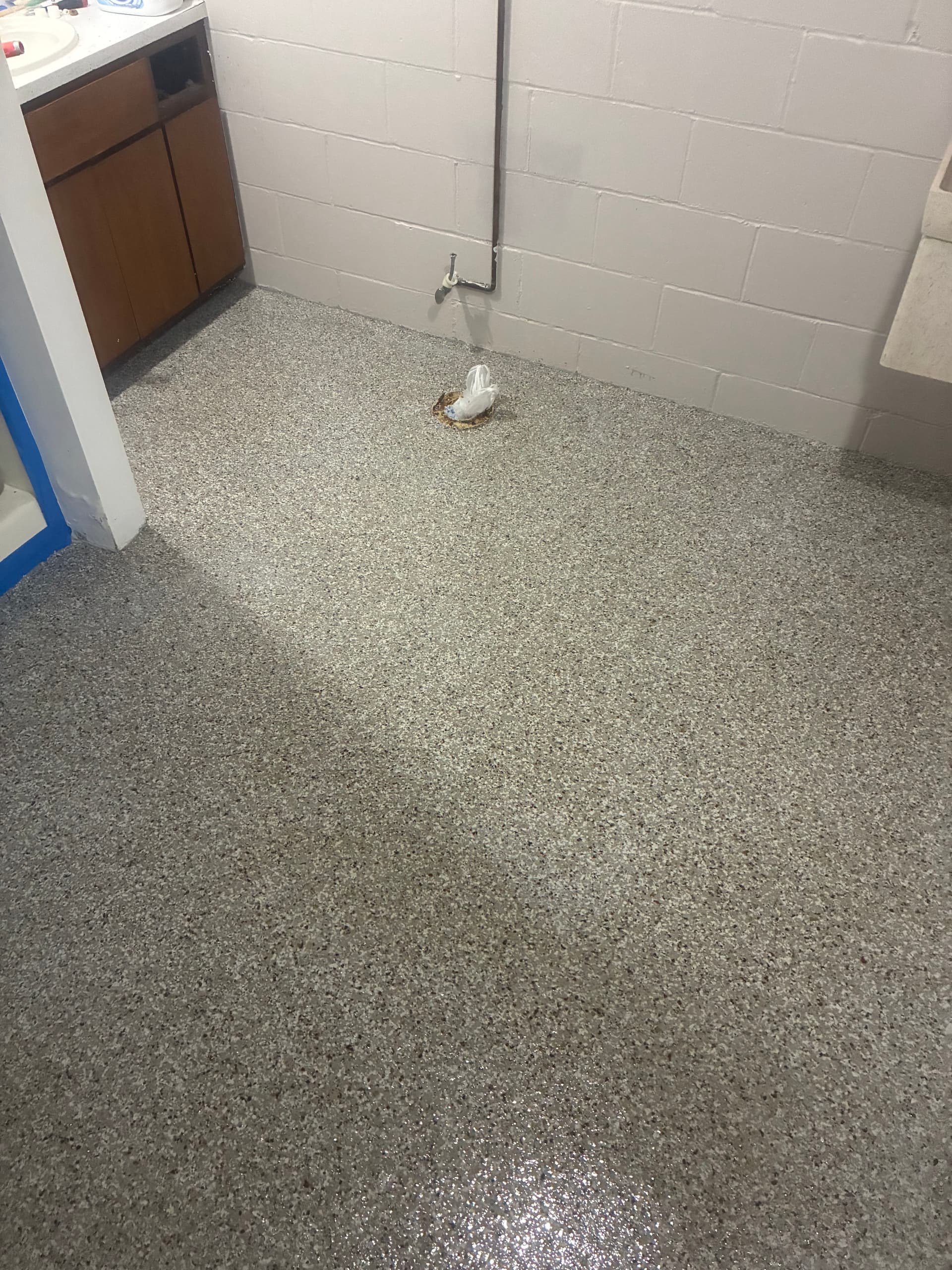 Gallery photos for Speckled Epoxy Floors for Basements and Utility Rooms: Image #5